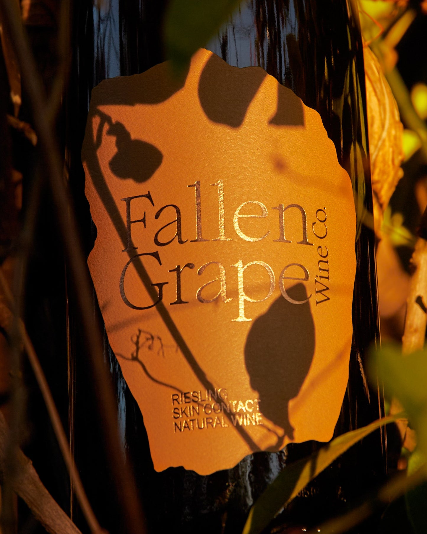 “Riesling” - Skin Contact Wine