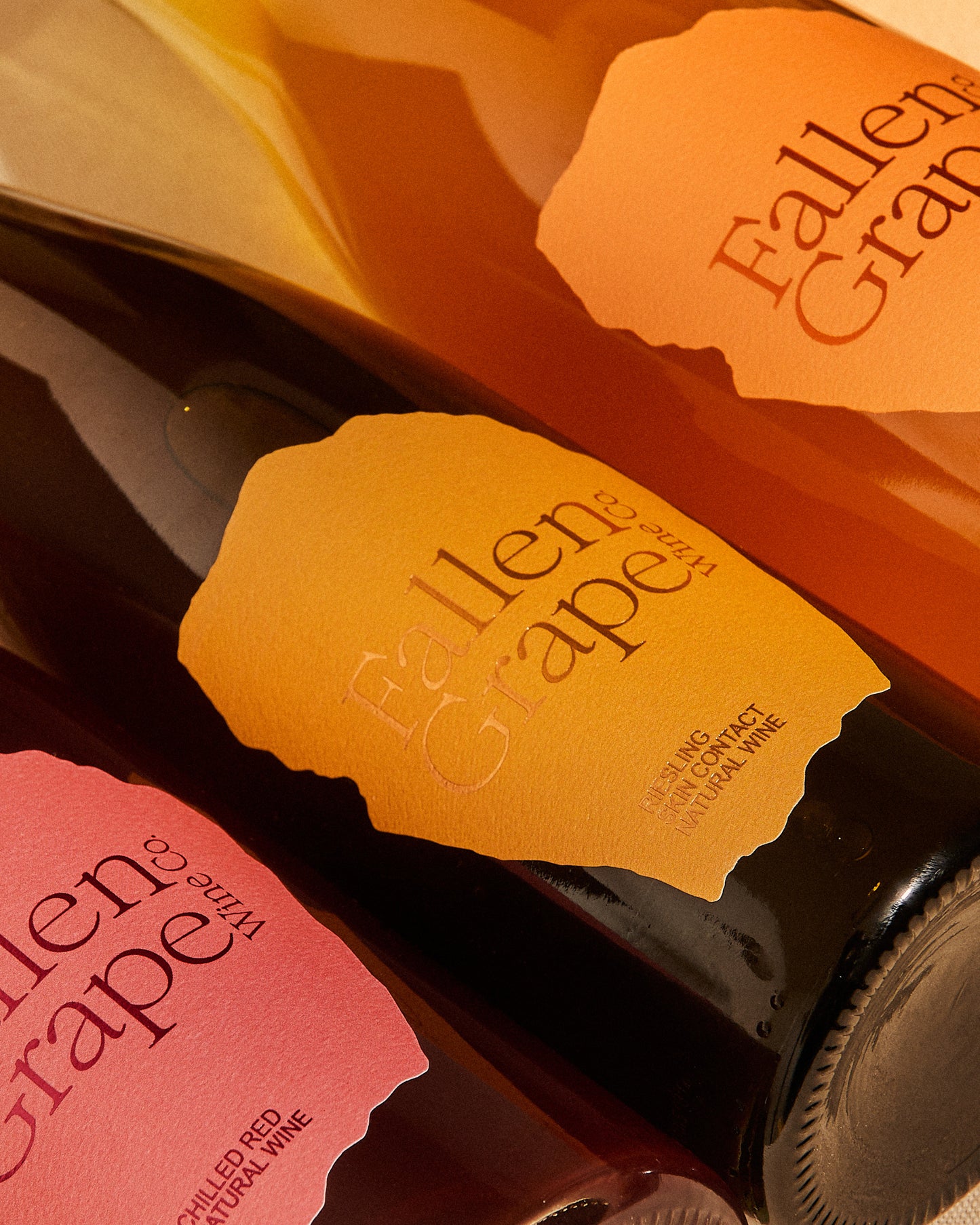 The Favorites 3-Pack